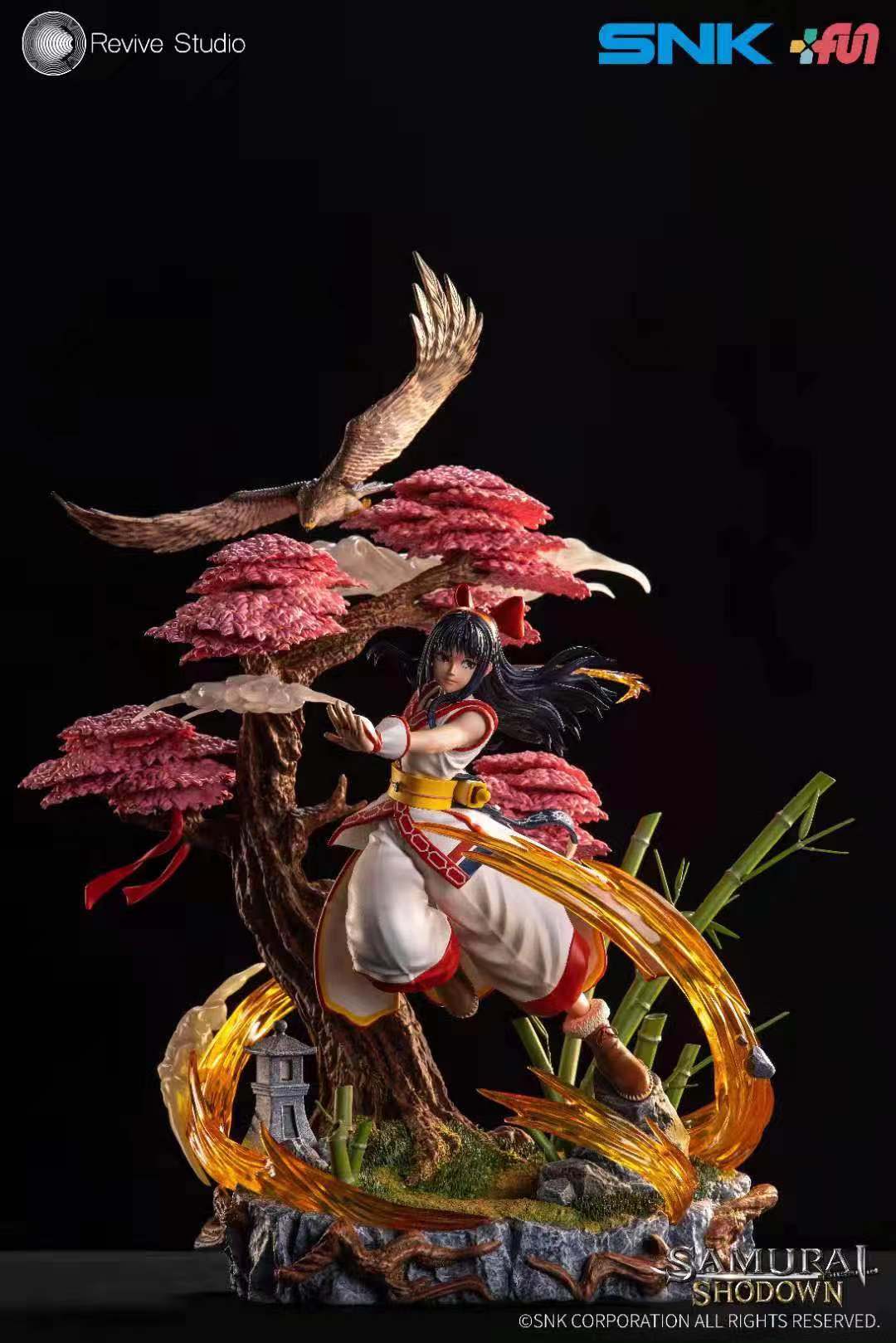 REVIVE STUDIO - NAKORURU (LICENSED)